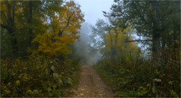 Der Geruch des Herbstes / ...