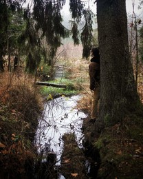 Der Geruch des Herbstes / ***