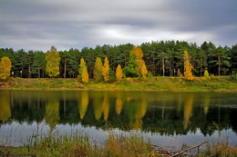 Herbstfarben der Natur. / ***