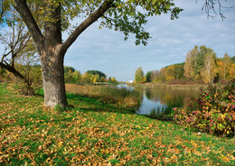 Der Geruch des Herbstes / +++++++++++