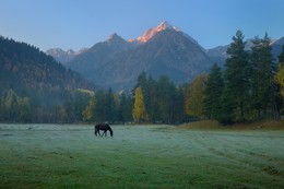 Herbst Morgendämmerung / ***