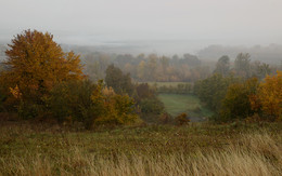 Herbst / ***