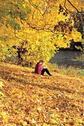 Der Geruch des Herbstes / ***