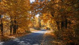 Herbst / ***