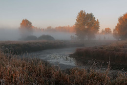 Herbst / ***