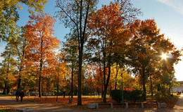 Goldener Herbst / ***