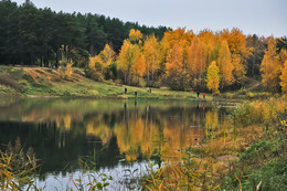 Herbstfarben der Natur. / ***