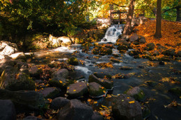 Herbstfarben / ***