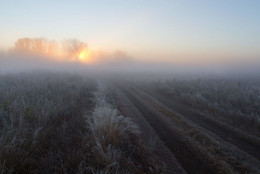 Morgennebel / ***