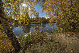 Altweibersommer / ***