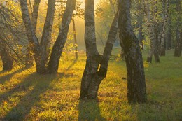 Morgendämmerung / ***
