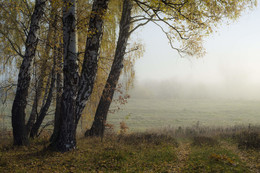 Herbst Trauer / ***