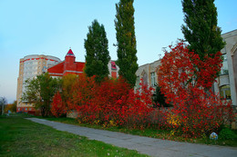 Herbstfarben der Natur. / ***
