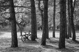 &nbsp; / [img]https://c.radikal.ru/c18/1810/5a/3a66ad7dfa0c.jpg[/img]
