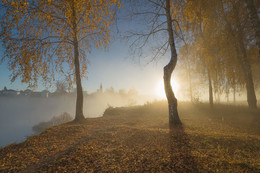 Goldener Herbst / ***