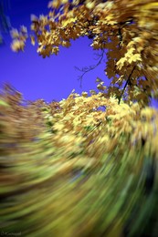 Listovorot / ***