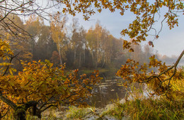 Herbstzeit ... / ***