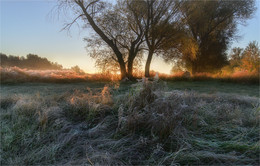 Der erste Frost / ***
