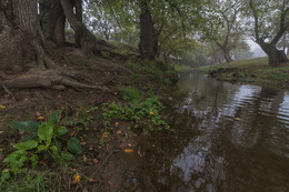 Traurig ist es Zeit, / ***