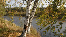 Herbststimmung. / ***