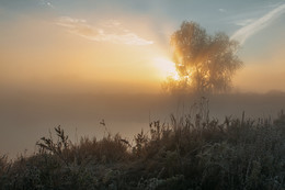 Der Geruch des Herbstes / ***