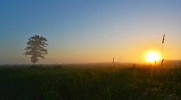 Treffen der Sonne / ***