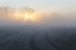 Die Oktober-freeze / ***