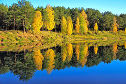 Herbstfarben der Natur. / ***