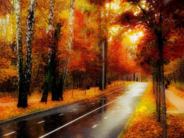 In der Herbst-Park. / ***