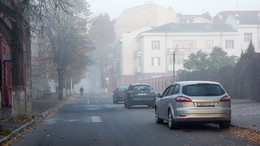 im Herbstnebel / ***