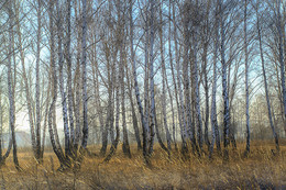 Oktober / ***