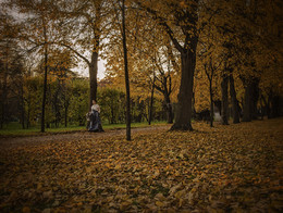 Herbst Wanderung / ***