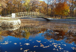 Brücke im Herbst / _________