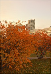 Herbst in der Stadt / ***