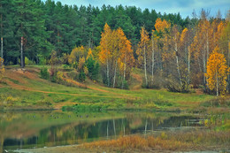 Herbstfarben der Natur. / ***