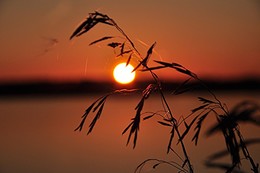 Bei Sonnenuntergang / ***