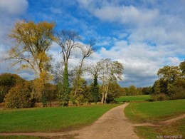 Herbst in der Stadt / 2018