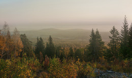 Nebliger Morgen / ***