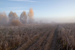 Die Oktober-freeze / ***