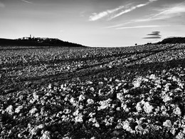 171116-_6454854 / 171116-_6454854