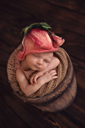 &nbsp; / ***