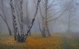 Misty Herbst / ***
