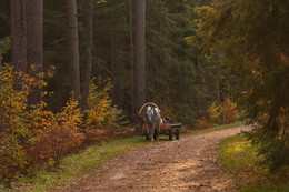 auf der Straße ... / ***