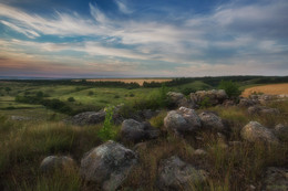 Goldener Herbst / ***