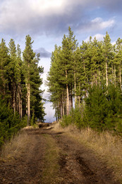 Der Weg zum Himmel ... / ***