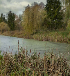 Über Herbst ... / ***