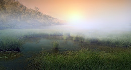 Nebligen Morgen ... / ***