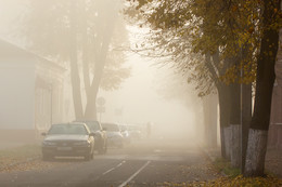 im Herbstnebel / ***