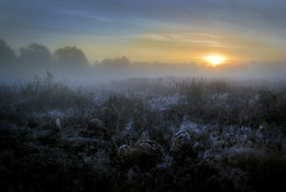 Herbstmorgen ... / ***