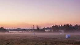 im Herbstnebel / ***